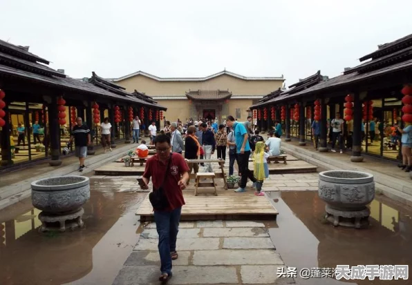 光遇追忆记深度攻略，揭秘第三个任务的完美通关秘籍