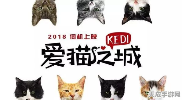 揭秘猫之城忍耐率计算机制，策略与技巧的终极较量