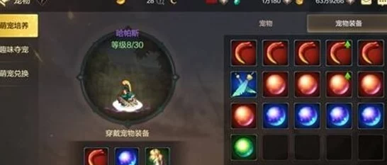 DNF手游，宠物获取全攻略，解锁战力飙升新篇章