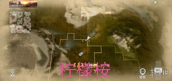 妄想山海，揭秘禅树秘境，探寻禅意之心终极指南