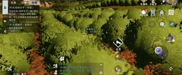 一梦江湖采茶记，奇遇任务全攻略，采茶斗技赢珍稀奖励