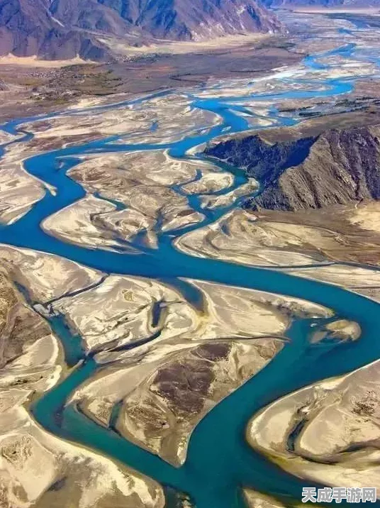 独家揭秘，星球重启中河谷虹鳟鱼高效捕捉秘籍与隐秘栖息地全解析
