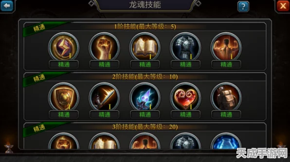 阿瓦隆之王，揭秘龙魂晋升的终极策略与实战技巧