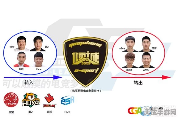 CF战队职务揭秘，深入探索电竞战场的核心架构