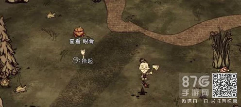 揭秘饥荒切斯特眼骨与卵石路的神秘联系，探险家们的必备指南