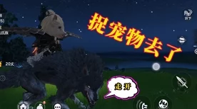 妄想山海，巫族遗迹全揭秘，解锁神秘探索之旅的终极攻略