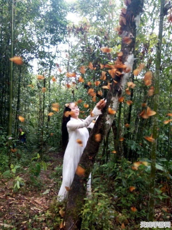 天下手游蝴蝶副本终极攻略，顶尖玩家揭秘通关秘籍与实战心得