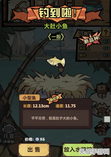 王者猎人钓鱼大赛，解锁等级揭秘与精彩赛事前瞻