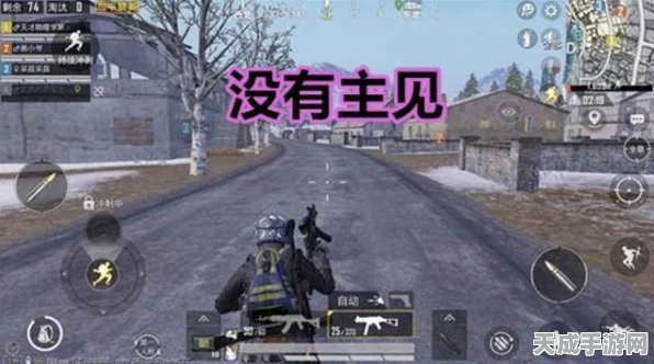 和平精英高手进阶，揭秘尾迹喷雾器实战应用与高端技巧