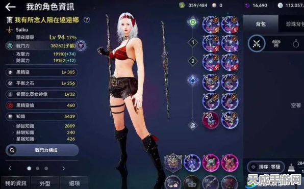 黑色沙漠手游，新人必看！职业选择全攻略，助你快速上手