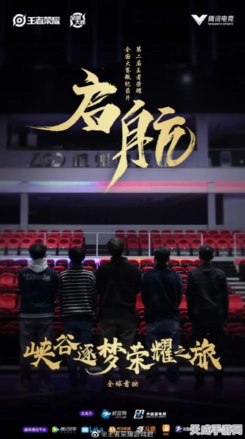王者荣耀纪录片百态王者，揭秘顶尖玩家的荣耀征途与背后故事