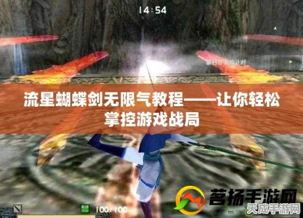 流星蝴蝶剑高手秘籍，无限气攻略大揭秘，实战操作技巧深度剖析