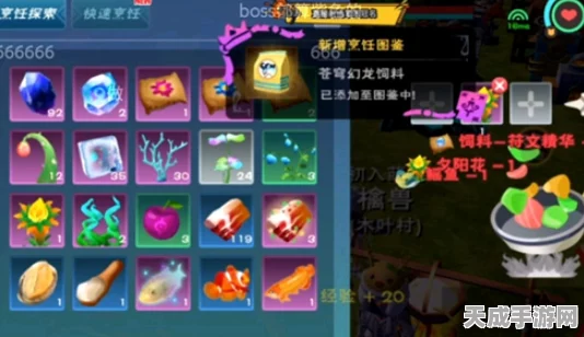 探秘创造与魔法，奇异菇菇饲料制作全攻略