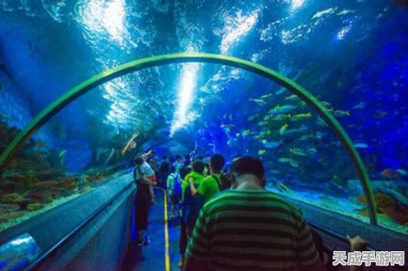 我的世界深海探险大赛，解锁海底世界的终极奥秘