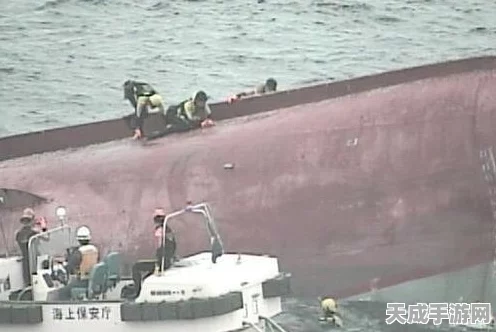 帝国时代2玩家热议，渔船罢工之谜与解决方案探索