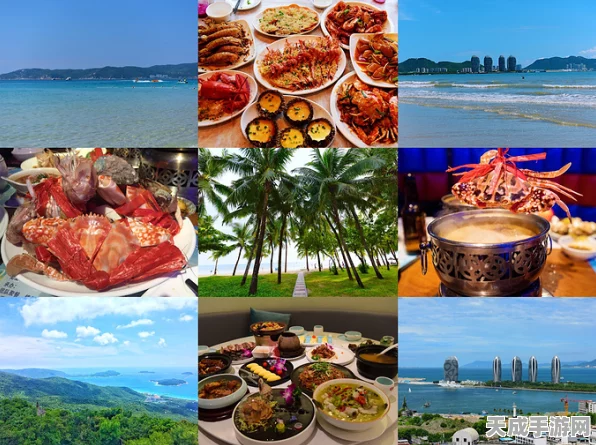 小森生活，解锁海边餐厅美食之旅，尽享海滨风味秘籍