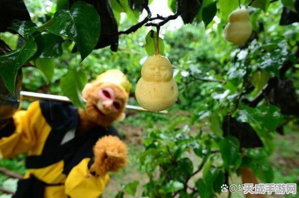 探寻西游奥秘，揭秘人参果背后的神秘神仙及其传说