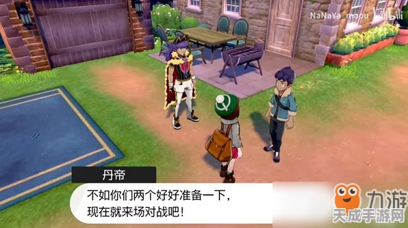 精灵宝可梦，剑盾新手必看！全面解析孵蛋技巧与竞技策略
