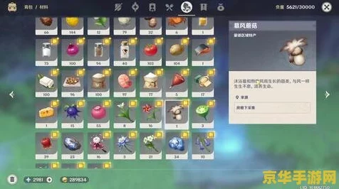 原神高手进阶，勾勾果全图攻略，速通采集不迷路！
