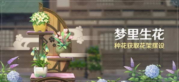 原神稻妻新活动揭秘，花匠位置预测与活动指南全攻略
