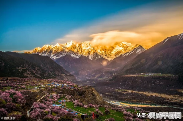 光遇安卓iOS上架时间全揭秘，探索梦幻之旅的启程瞬间