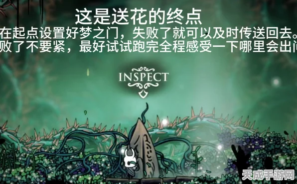 空洞骑士，揭秘送花任务的终极攻略与玩法细节