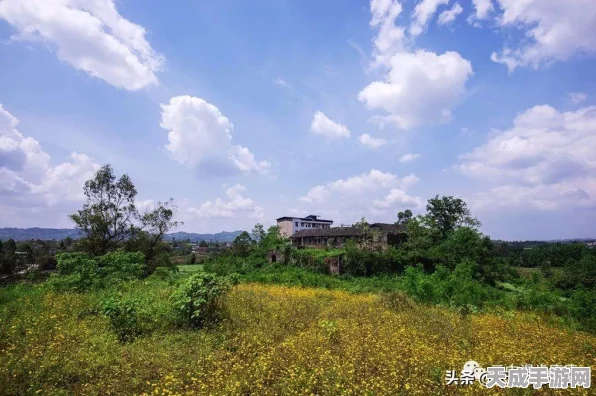 江湖悠悠，揭秘铁门钥匙获取全攻略，解锁隐藏秘境！