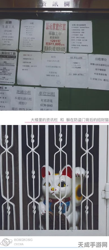 江湖悠悠，揭秘铁门钥匙获取全攻略，解锁隐藏秘境！