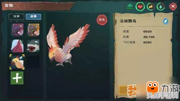 创造与魔法深度揭秘，云鹰饲养指南与饲料制作秘籍