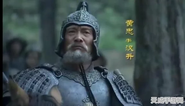 三国志战略版迁城秘籍，实战步骤与网友精选迁城策略大揭秘