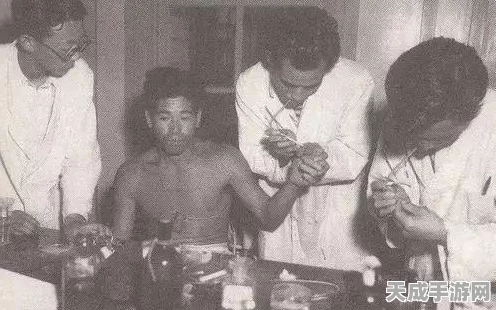 绝地求生海岛地图深度解析，掌握生存法则，称霸战场