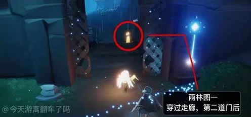 光遇雨林探险，揭秘先祖藏匿之谜，解锁神秘任务！