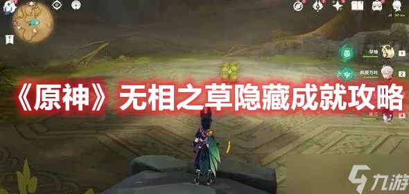 原神攻略，揭秘无相之草隐藏成就的高效完成技巧