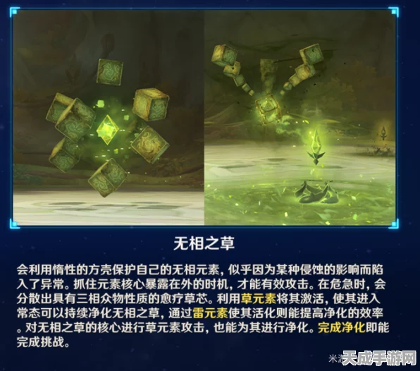 原神攻略，揭秘无相之草隐藏成就的高效完成技巧
