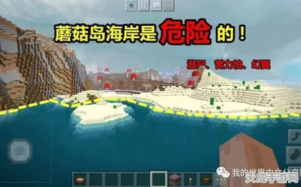 我的世界，揭秘蘑菇岛菌丝宝藏，全面攻略助你探险夺宝