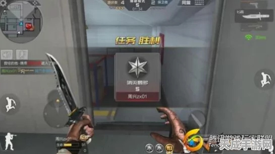 穿越火线，枪战王者深度解析——CF王者沙漠玫瑰标记之谜