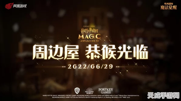哈利波特，魔法觉醒定位故障全解析，助你畅游霍格沃茨！