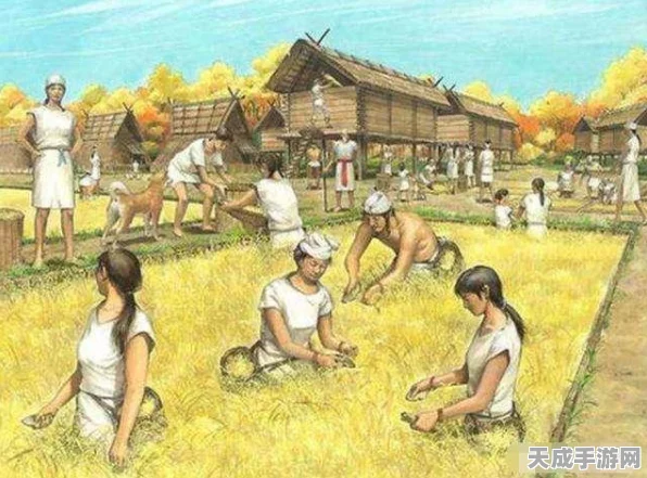 文明6北美洲文明全揭秘，探索历史与策略的深度交融