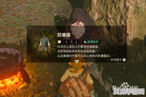 塞尔达传说，揭秘！老人消失后如何智取防寒服攻略