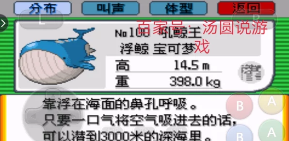 吼鲸王震撼登场！口袋妖怪复刻深度剖析吼鲸王战力与进化之路