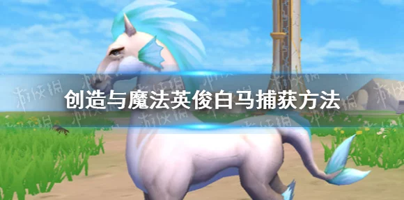 创造与魔法英俊白马获取秘籍，解锁条件与高效捕捉法大揭秘