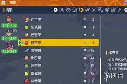 宝可梦朱紫游戏挑战遇阻？4992错误提示全面解析与速解攻略