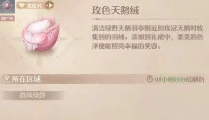 揭秘无限暖暖夜色天鹅绒珍稀套装，高效获取攻略大公开