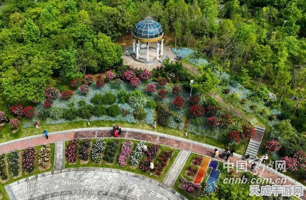我的世界花卉收集秘籍，解锁多彩世界的园艺攻略