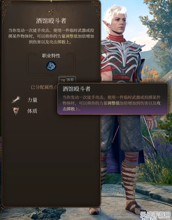 博德之门深度解析，武僧加点策略与实战技巧全揭秘
