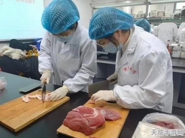 香肠派对V866版震撼上线，疯狂实验室解锁，全新派对模式与竞技挑战等你来战！