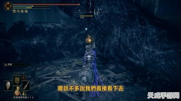 艾尔登法环DLC揭秘，黄金树之影中光明剑与黑暗剑速刷攻略