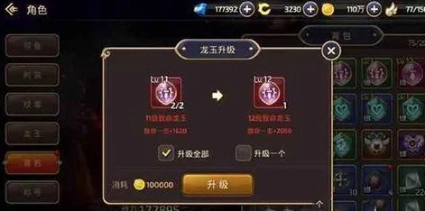 舞者龙玉搭配秘籍，龙之谷手游舞者职业战力飙升攻略