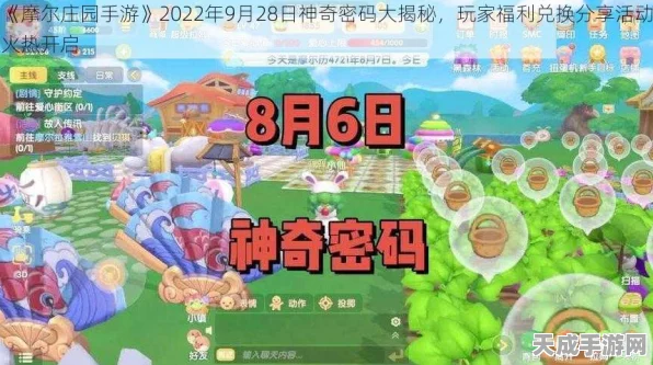 摩尔庄园探险大赛，解锁密码箱，揭秘未知奇遇