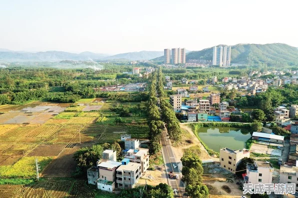 火炬之光无限，开荒大赛玩法全揭秘，探索无限可能！